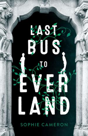 Cover of the book Last Bus to Everland by Chris Mould