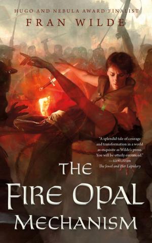 Cover of the book The Fire Opal Mechanism by Claire Ashgrove