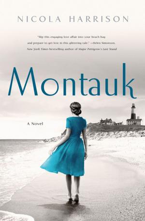 bigCover of the book Montauk by 