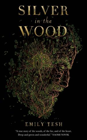 Cover of the book Silver in the Wood by Glenn Kaplan