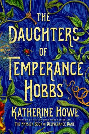 Cover of the book The Daughters of Temperance Hobbs by Douglas Hobbie