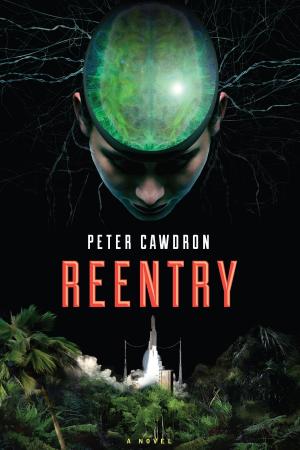 Cover of the book Reentry by Brian Johnston, Mary Ellen Snodgrass