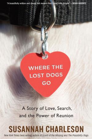 Cover of the book Where the Lost Dogs Go by Russell Freedman