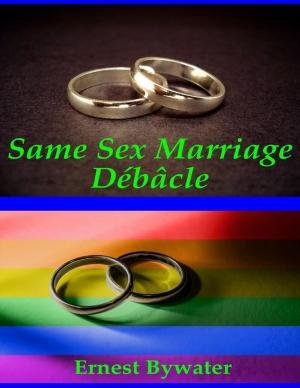 Cover of the book Same Sex Marriage Débâcle by Burr Cook