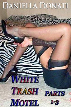Cover of the book White Trash Motel: Parts 1-3 by Lacey Lang