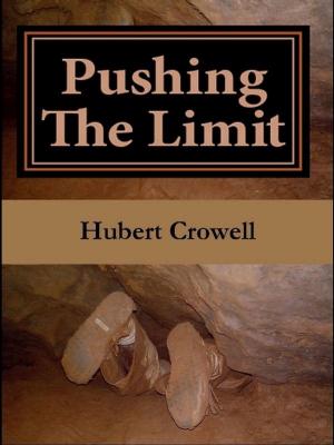 Book cover of Pushing the Limit