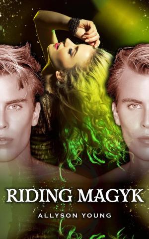 Book cover of Riding Magyk