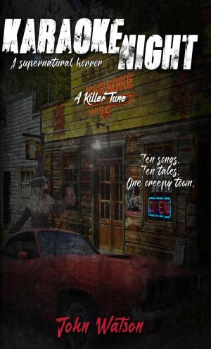 Cover of the book Karaoke Night by Paul Davis