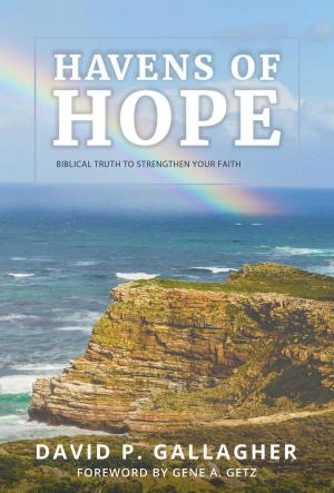 Cover of the book Havens of Hope by Joseph Williams