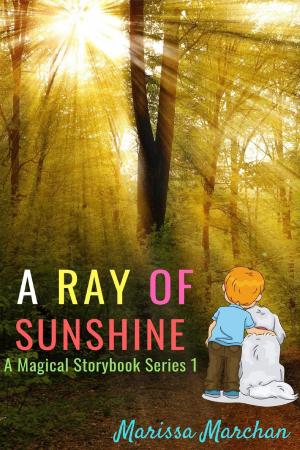 Cover of the book A Ray of Sunshine: A Magical Storybook Series 1 by Michael Martin
