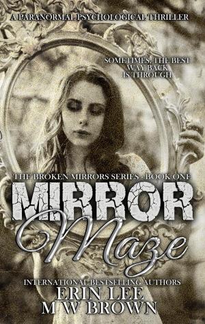 Cover of the book Mirror Maze by Axel Howerton, Jackon Lowry, Scott S. Phillips, Coffin Hop Press, C. Courtney Joyner