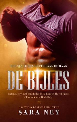 Cover of the book De Bijles by Kate Paris
