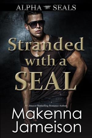 bigCover of the book Stranded with a SEAL by 
