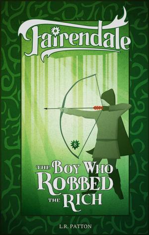 Book cover of The Boy Who Robbed the Rich