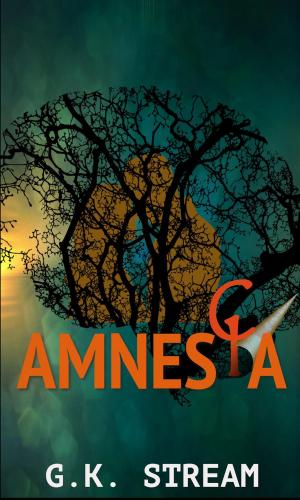 Cover of the book Amnesia by K G