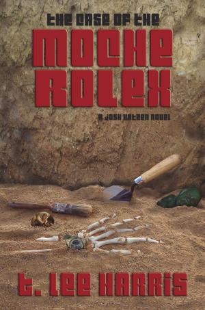Cover of the book The Case of the Moche Rolex by Pete Blyth
