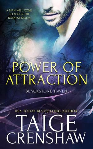 Cover of the book Power of Attraction by Talia Carmichael