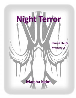bigCover of the book Night Terror by 