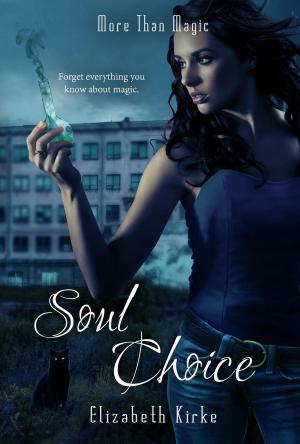 Cover of the book Soul Choice by Doug Turnbull