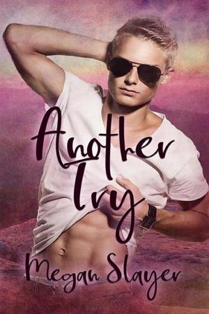 Book cover of Another Try