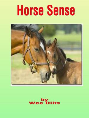 Cover of the book Horse Sense by DNP RN Fazzino Dolores L.
