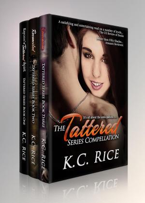 Cover of the book The Tattered Series Box by Calle J. Brookes