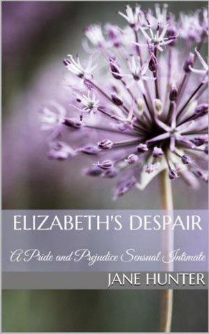 Cover of the book Elizabeth's Despair: A Pride and Prejudice Sensual Intimate Novella by Petra Belmonte