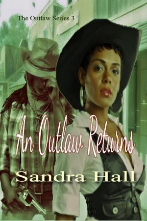 Cover of the book An Outlaw Returns by Peter Burden, Julia Dillon