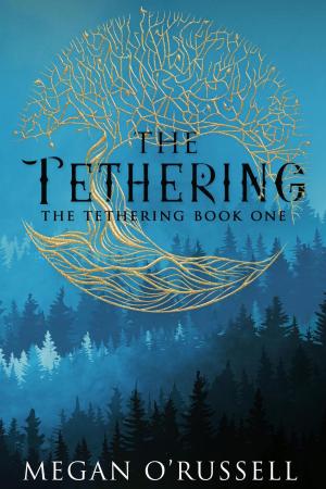 Cover of the book The Tethering by A. F. Morland