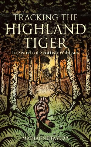 Cover of the book Tracking The Highland Tiger by Chitra Soundar