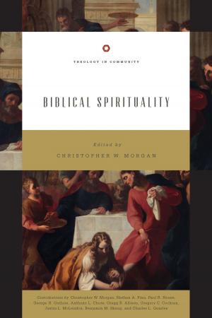 Cover of the book Biblical Spirituality by John Piper
