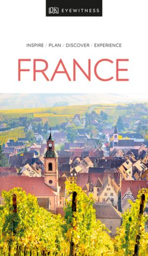 Book cover of DK Eyewitness Travel Guide France