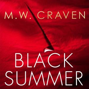 Cover of the book Black Summer by Mark Haysom