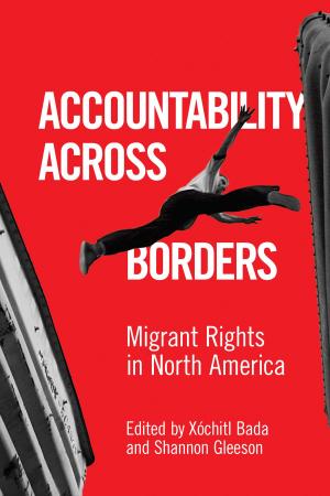 Cover of the book Accountability Across Borders by David Hogarth