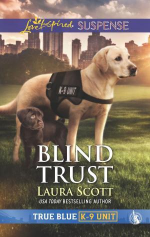 Cover of the book Blind Trust by Ashley Stoyanoff