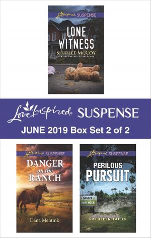 Book cover of Harlequin Love Inspired Suspense June 2019 - Box Set 2 of 2