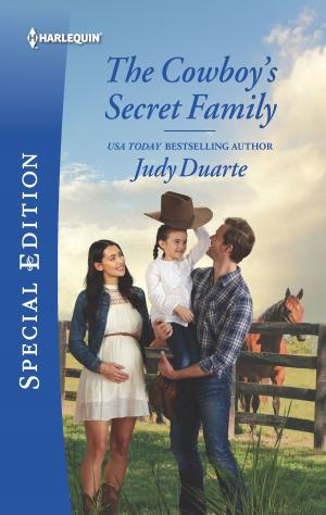 Cover of the book The Cowboy's Secret Family by Amanda Stevens