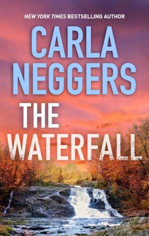 Book cover of The Waterfall