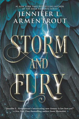 Book cover of Storm and Fury