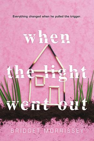Cover of the book When the Light Went Out by Fred Cuellar