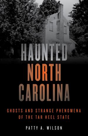 Cover of the book Haunted North Carolina by Randi Minetor