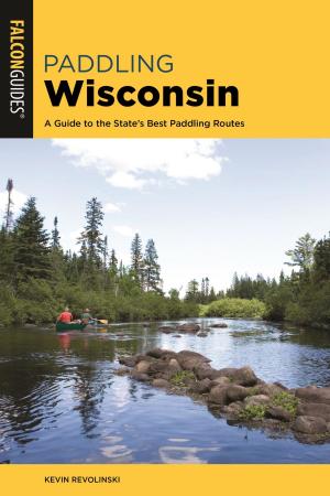 Cover of the book Paddling Wisconsin by Joe Cuhaj