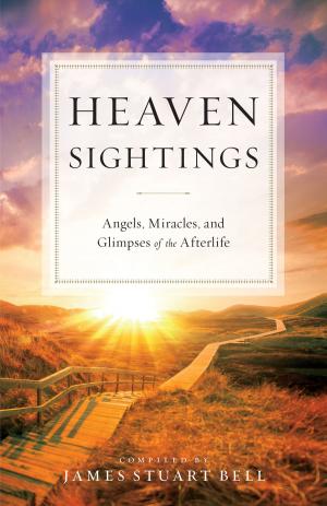 Book cover of Heaven Sightings
