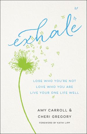 Cover of the book Exhale by Regina Jennings