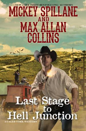 Cover of the book Last Stage to Hell Junction by Mary B. Morrison