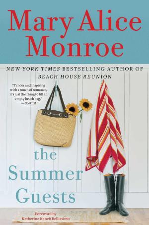 Book cover of The Summer Guests