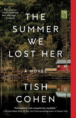 Book cover of The Summer We Lost Her