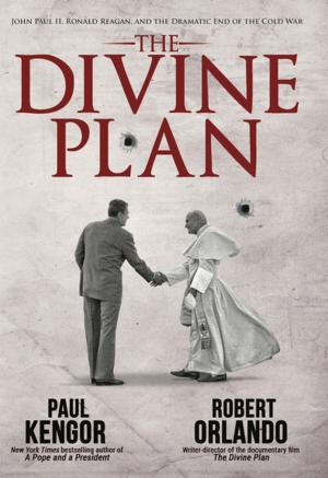 Cover of the book The Divine Plan by R.J. Stove