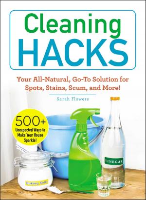 Cover of the book Cleaning Hacks by Janet Kahn