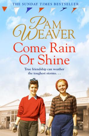 Book cover of Come Rain or Shine